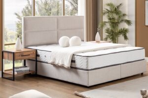 beta sabİt baza baŞlik setİ